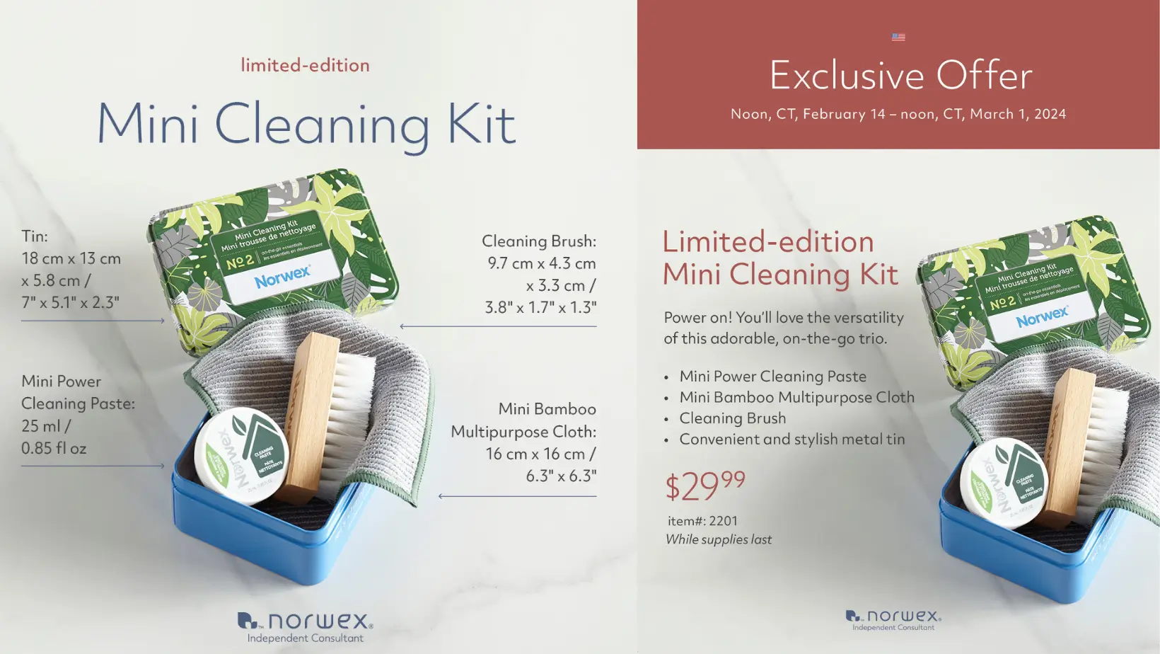 NEW! Norwex Limited-edition Mini Cleaning Kit | February 2024 Special
