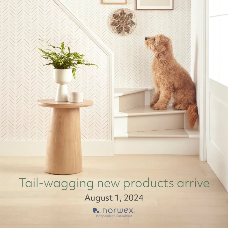 New products arrive to Norwex on August 1, 2024