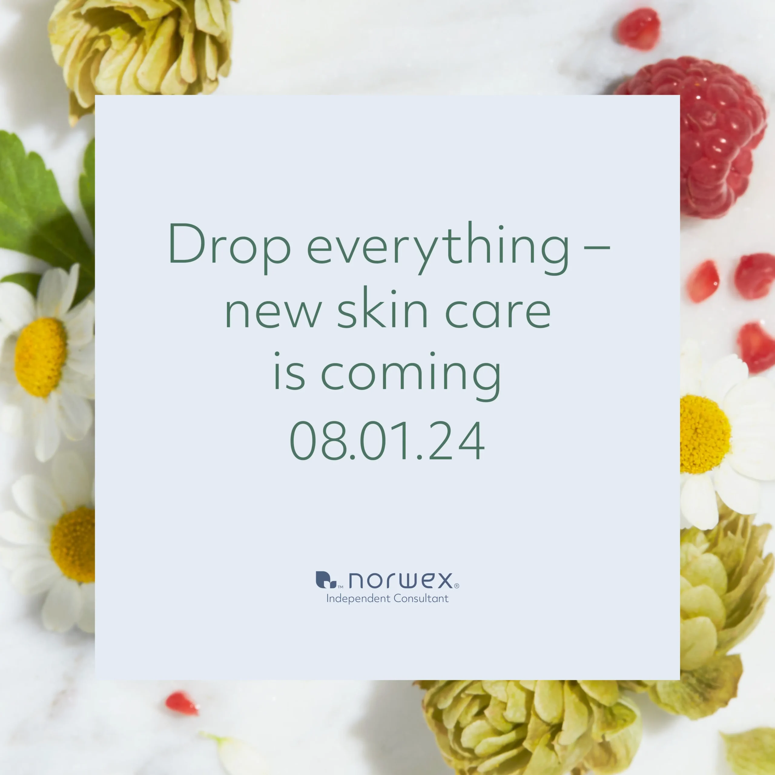 New products arrive to Norwex on August 1, 2024